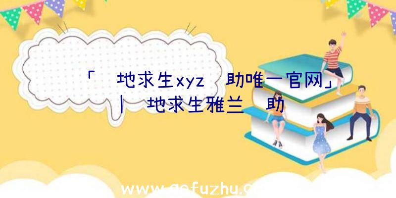 「绝地求生xyz辅助唯一官网」|绝地求生雅兰辅助